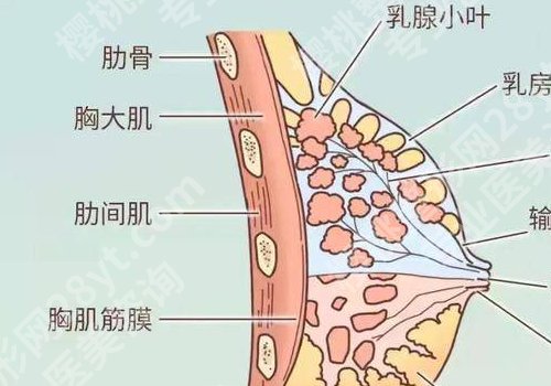 福州附一黄循镭怎么样？医生简介、案例分享！