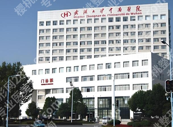武汉十大整形外科排名如何？名单一一揭晓，开启变美新指南