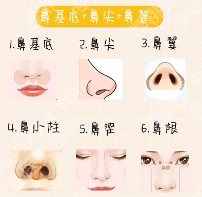 上海九院鼻基底多少钱？医院实力点评|鼻基底案例图反馈！