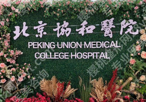 黄渭清技术怎么样？20+经验，附隆鼻项目介绍！
