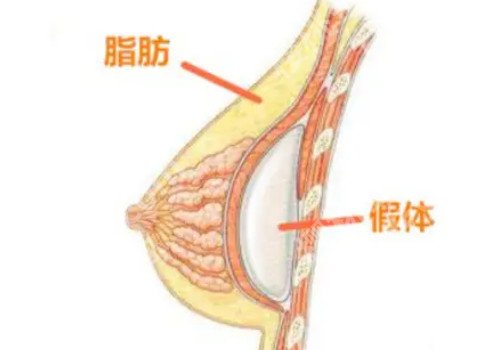张文超医生的个人荣誉与成就更新！医生技术、资料等在线分享！