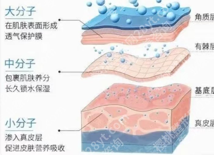 西京医院玻尿酸填充价格贵吗？医院资料介绍及价目表参考！