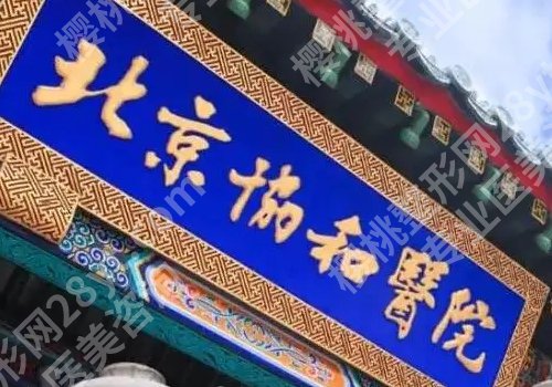 俞楠泽医生擅长什么？医生详情及擅长项目科普！