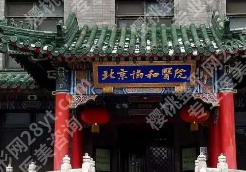 赵茹医生手术费用及报销情况更新！低至2万元起，附医生信息！
