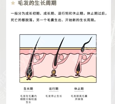 上海仁济医院激光科可以脱腋毛吗？医院实力曝光！
