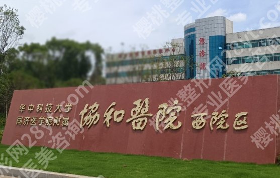 武汉面部除皱需要多少钱？打玻尿酸4200元起、筋膜提升18000元起...