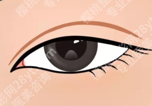 汕头中心医院整形烧伤科怎么样？医生及科室简介详情曝光！