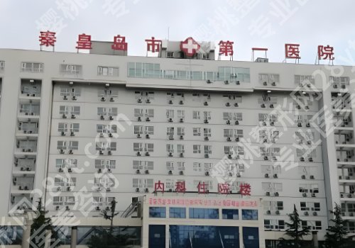 武凤莲医生优势多少？个人资料、价格表曝光！
