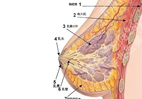 吕春柳医生怎么样？个人详情及擅长项目分享！