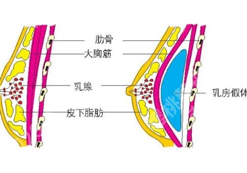 曾昂医生的评价和口碑怎么样？顾客口碑曝光！好评连连！