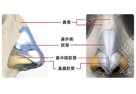 北京八大处隆鼻医生介绍!医院医生优势详情!用户口碑参考