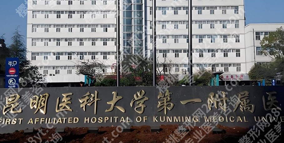 昆明植发医生2025排名榜更新！汤諹、袁瑞红、张丽等实力大PK！