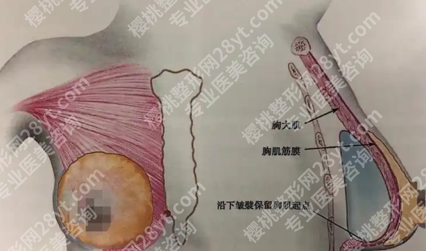 许扬滨医生口碑怎么样？医生技术口碑点评！价格表参考