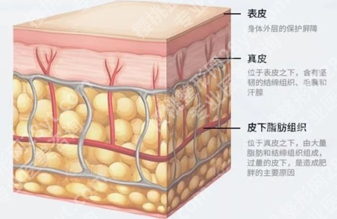 杭州冯志丹吸脂怎么样？医生技术实力派大咖！口碑点评