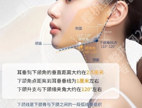 浙一医院垫下巴多少钱？贵不贵？25班价目表一览！