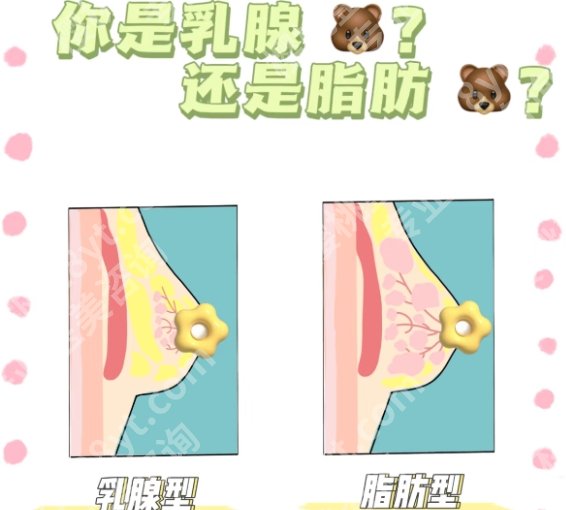 罗盛康和李健谁厉害？分享两位医生的详细资料！速速码住