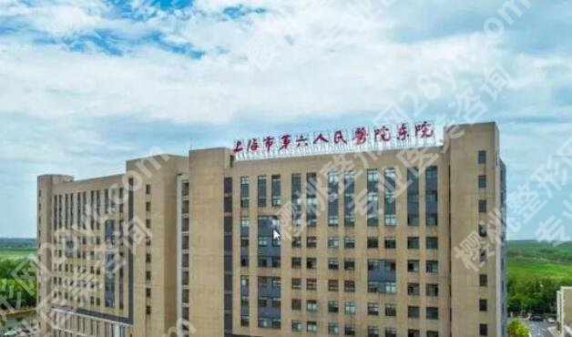 上海六院植发怎么样？医院基本资料|植发案例展示！
