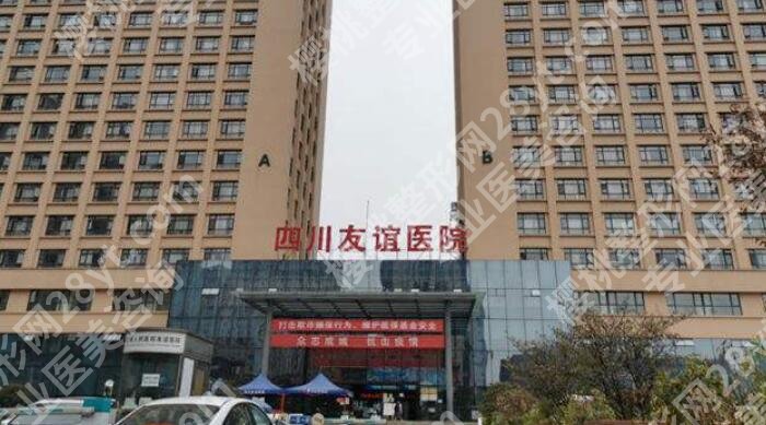 成都丰唇价格贵不贵?推荐几家口碑好又实惠的机构!