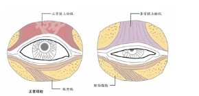 滁州做双眼皮的医院有哪些？点击查看医院具体信息！附顾客点评