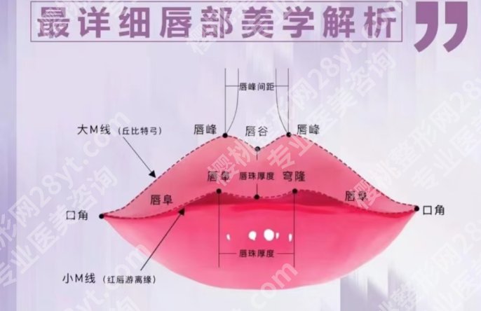 嘉兴丰唇一般多少钱？推荐几家性价比高的医院！