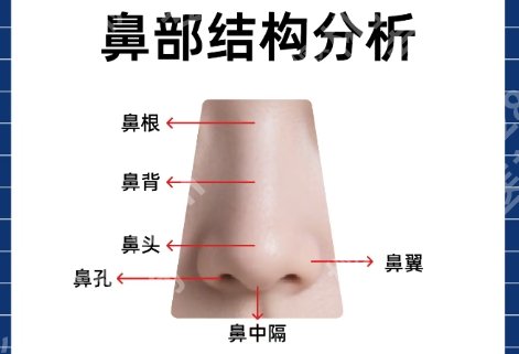 邸红亮做鼻子怎么样?费用7500元左右起!医生案例分享