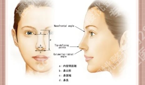 上海九院整形科的主任是谁？擅长项目以及案例分享！