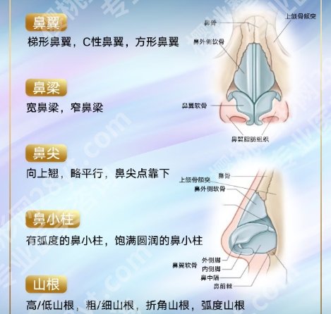 浙医二院鼻部整形专家！医生团队资源|擅长项目详情！