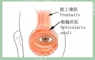 邢台割双眼皮哪家好？邢台市人民医院|第九医院都是不错的选择！