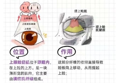 柳州割双眼皮哪个医生好？郭小文|周美池|龙昕等技术实力在线！