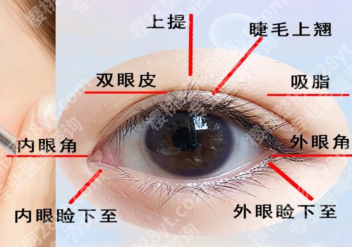 上海九院医美项目价格分享！医院具体资料以及主打项目！