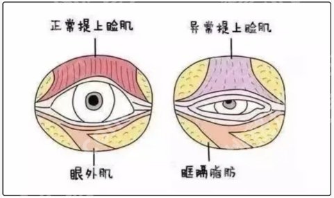 佀同帅比杨亚益更好吗？两位医生各有各的优势！且看且珍惜