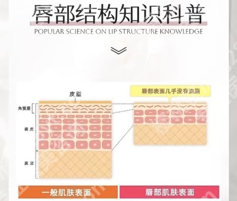 宁波嘴唇整形多少钱？参考费用大概是3500元到29,900元之间！点击查询