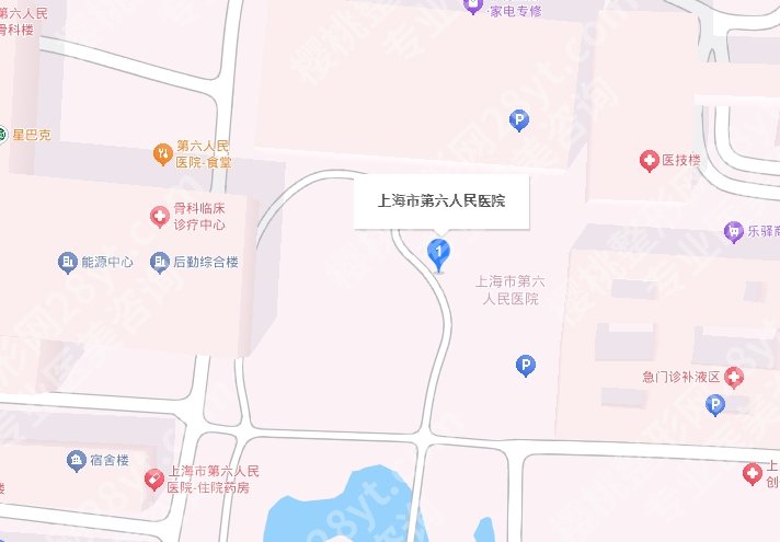 上海第六人民医院口腔科挂号预约方式介绍！附院内案例！