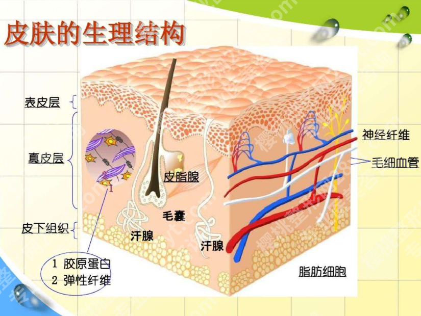 长沙腹壁整形医院：两张表格看透长沙优质机构