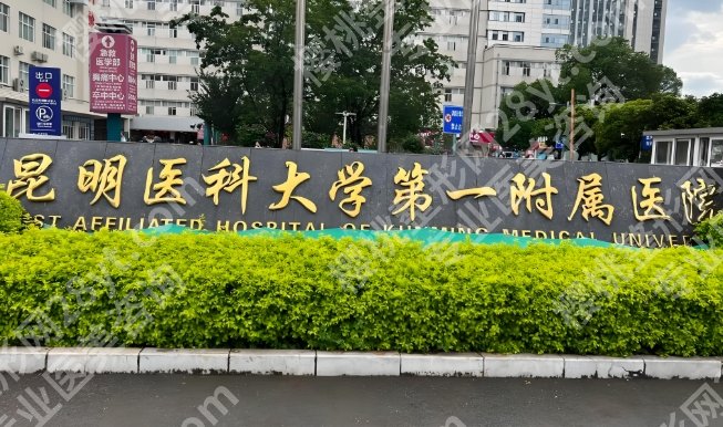 昆明黄金微雕多少钱？收费列表，附这几家医院资料赶紧看