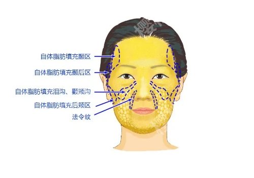 上海九院有哪些医美项目？项目覆盖广，医生多，更多重点分享来袭！