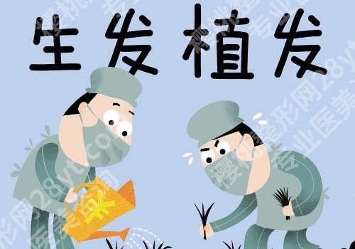 上海九院植发价格是多少？大约1.5万元起、发际线调整、头顶加密都能做
