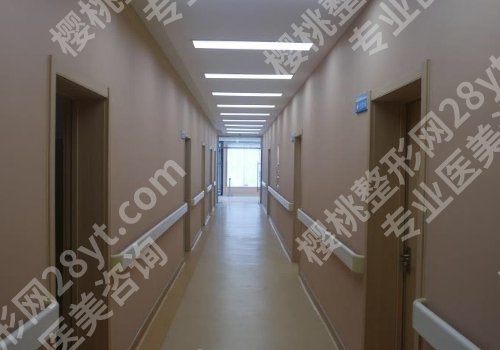 八大处隆鼻谁做得好？宋涛、董新航、杨庆华等值得推荐