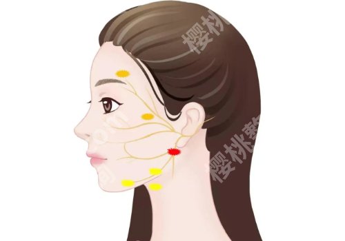 上海九院热玛吉价格是多少？8k起！医院简介及优势曝光