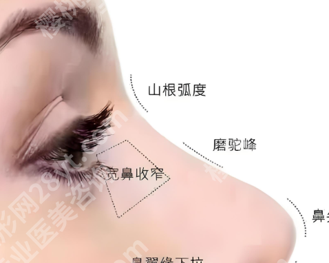 项昌峰怎么预约？热门项目|详细案例|预约方式在线看