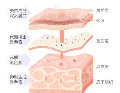 浙一祛斑哪个医生好？李亚丽、朱定仙实力超群！