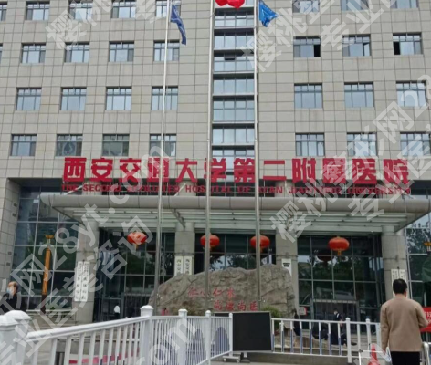 在西安交大第二附院植发1年，打工人终于摆脱大宽发缝