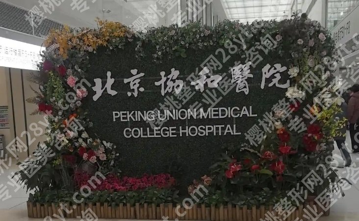 北京协和美容科专家表,擅长方向、出诊时间都整理好了