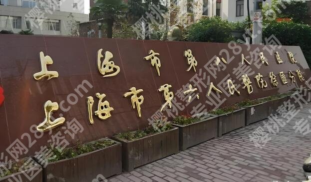 上海第八人民医院假体隆鼻价格是多少？2026全新参考，看完少走弯路