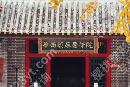 华西隆鼻厉害三个医生,3位口碑强的方向盘点,适合人群各不同