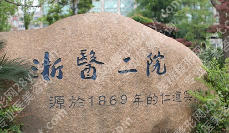 浙医二院种植牙怎么样？医生实力和就诊体验值不值得看