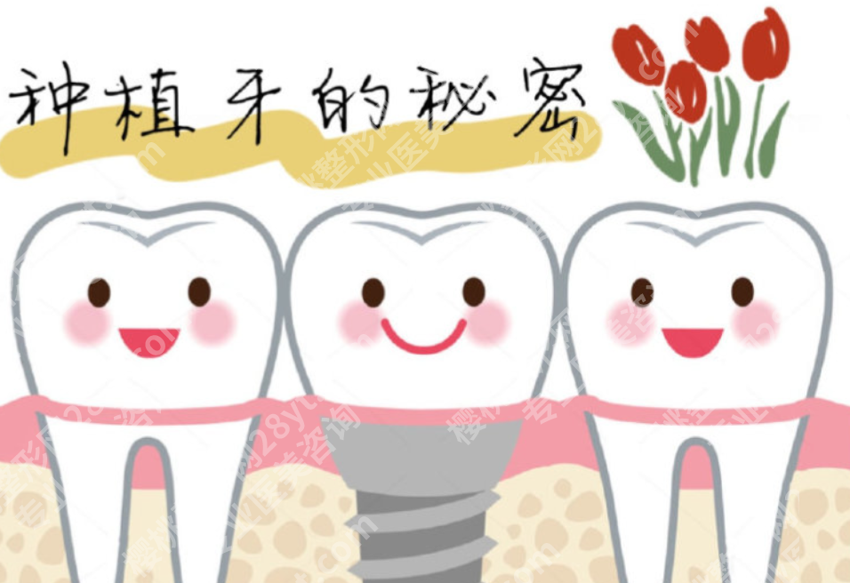 南阳种植牙医院哪家好价格实在？费用明细清晰、性价比高的选择指南