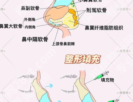 金华鼻修复医院排名有哪些？综合实力Top5及医院详情解读！