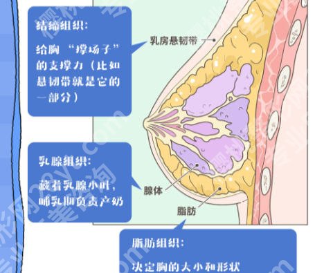 江南大学附属医院丰胸怎么样？价格在4w起附加真实案例分享！