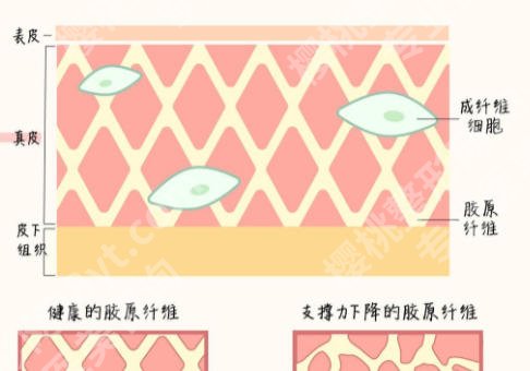 上海天大整形价格怎么样？价格表曝光一览有热门医生推荐！